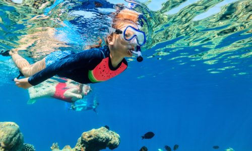 Red Sea Snorkeling - El Gouna Snorkelling Excursion - Tours From Hurghada