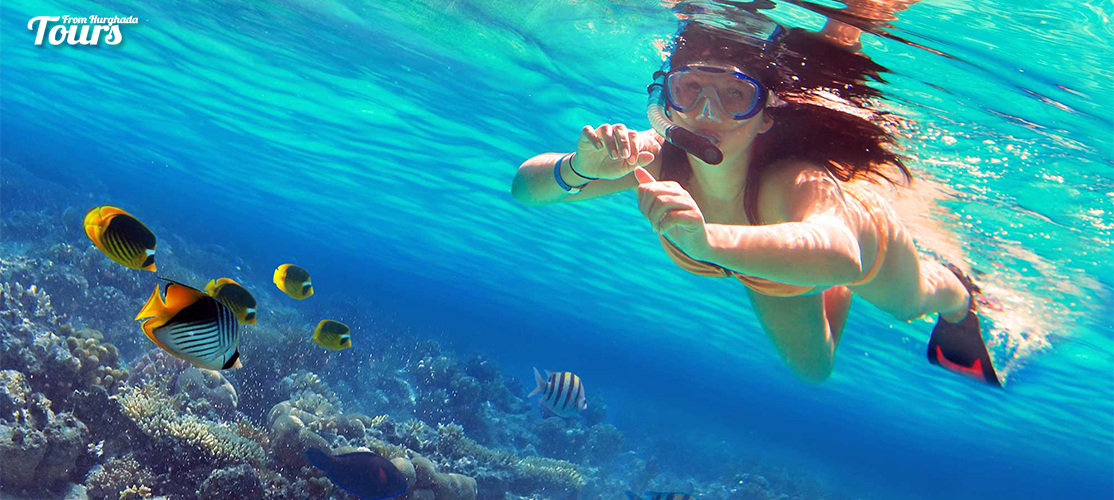 Discover Scuba Diving from Makadi - Tours From Hurghada