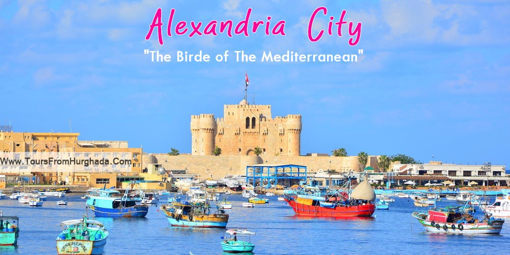 Alexandria City - Tours from Hurghada