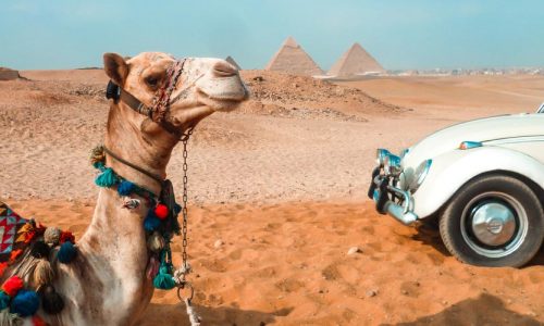 Die Pyramiden von Gizeh - Ausflug nach Kairo von Makadi mit Einem Fahrzeug - Tours from Hurghada