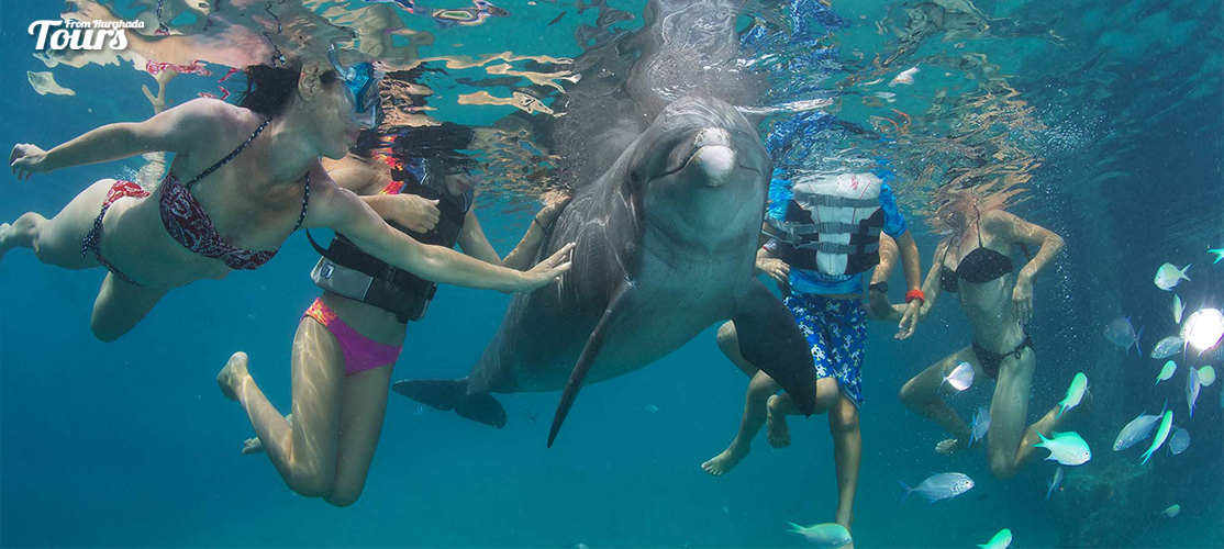 Dolphin House Hurghada Day Tour - Tours From Hurghada