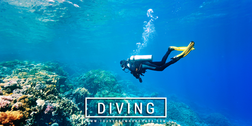 Diving Excursions - Things to Do in Marsa Alam - Tours from Hurghada