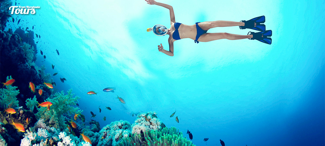 Giftun Island Snorkeling Tours In El Gouna - Tours From Hurghada