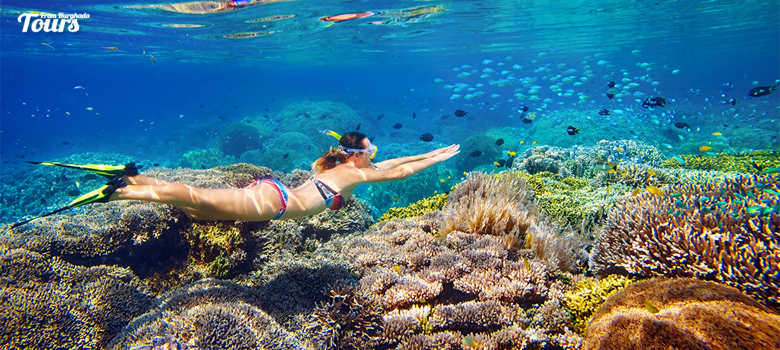 Mahmya Island Snorkeling Tour in El Gouna - Tours From Hurghada