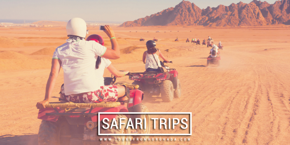 Safari Trips - Things to Do in Marsa Alam - Tours from Hurghada