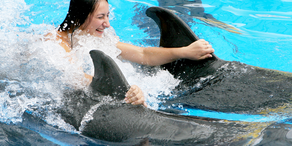 Swimming with Dolphins in Hurghada