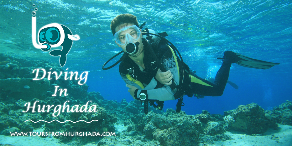 Hurghada Diving Sites - Tours From Hurghada