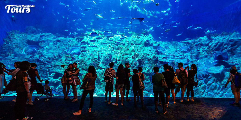 Hurghada Grand Aquarium - Things to Do in Hurghada - Tours From Hurghada