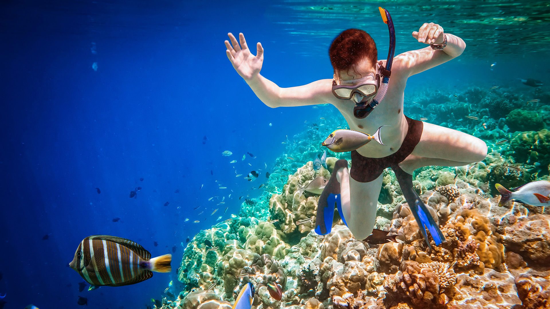 Snorkeling Trip Full Day from El-Gouna in Paradise Island