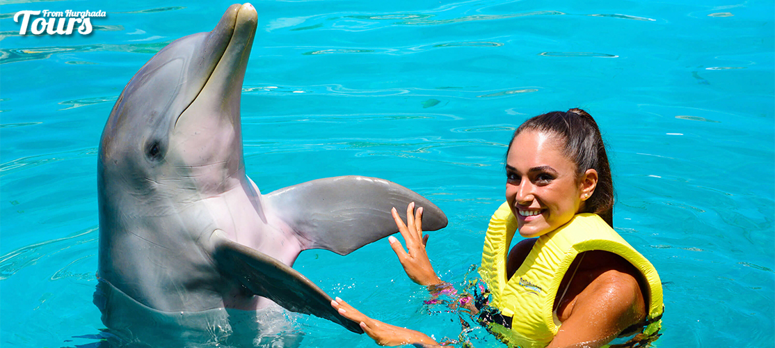 Swimming with Dolphins in El Gouna - El Gouna Day Tours - Tours From Hurghada