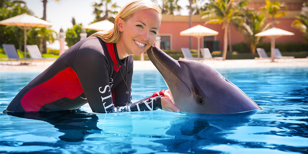 Swimming with Dolphins in El Gouna