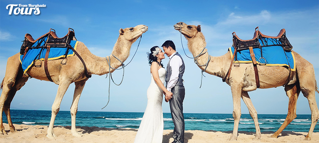 Camel Riding Port Ghalib Day Tour - Port Ghalib Excursions - Tours From Hurghada