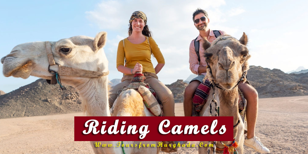 Riding Camels - Things to Do in Makadi Bay - Tours from Hurghada