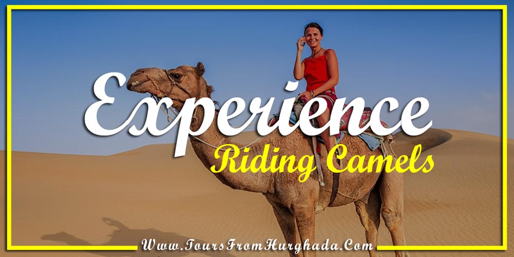 Riding Camels - Things to Do in Port Ghalib - Tours from Hurghada