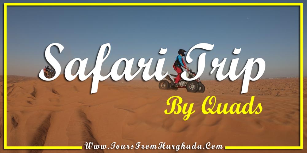 Safari Trip Port Ghalib - Things to Do in Port Ghalib - Tours from Hurghada