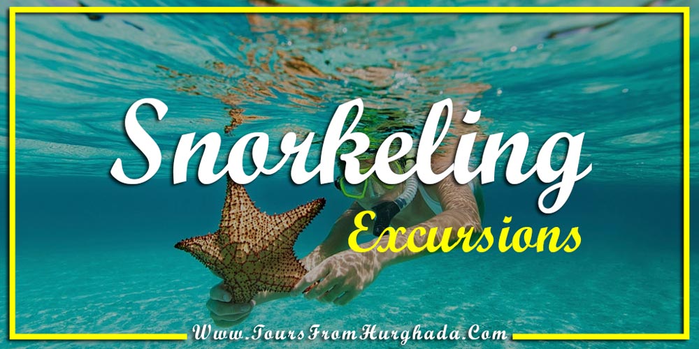 Snorkeling Excursions - Things to Do in Port Ghalib - Tours from Hurghada