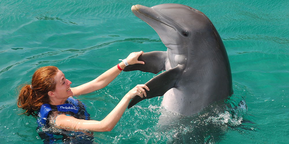 Snorkeling Trip at Sataya Dolphin Reef From Port Ghalib