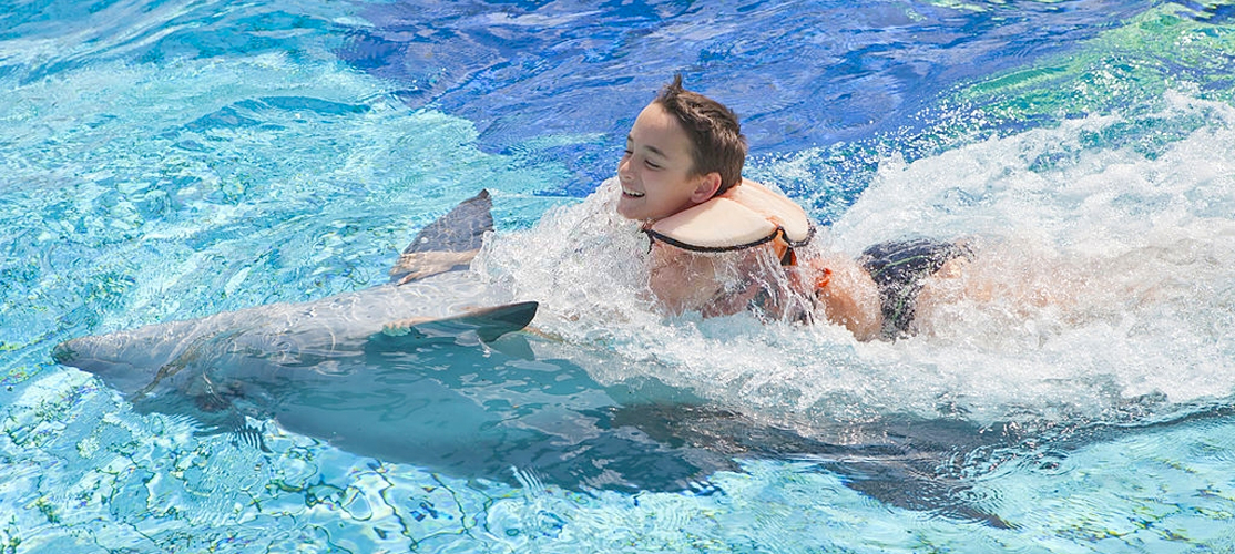 Swimming with Dolphins Excursion from Port Ghalib - Tours from Hurghada