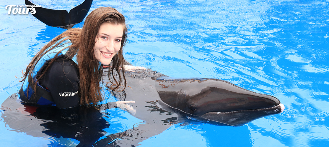 Swimming with Dolphins in Marsa Alam - Marsa Alam Excursions - Tours From Hurghada