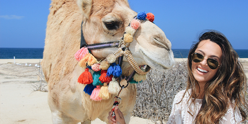 Wadi El Gemal Tour From Port Ghalib