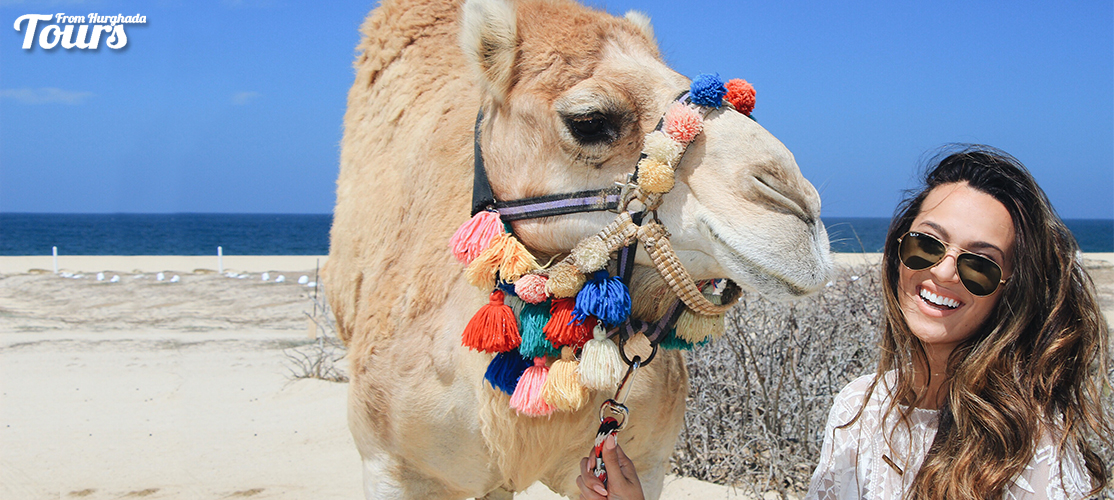 Wadi El Gemal Tour From Port Ghalib - Port Ghalib Excursions - Tours From Hurghada