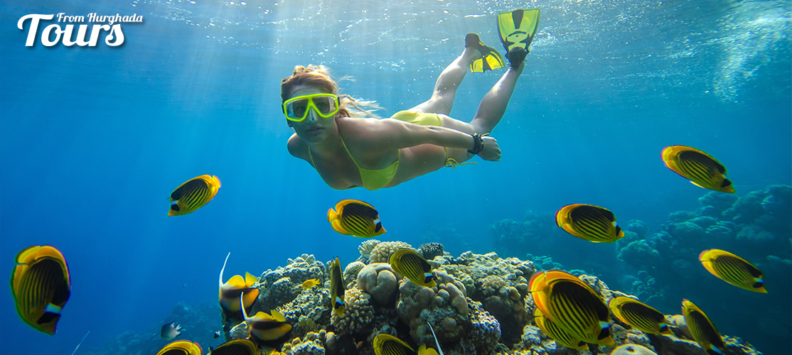 Snorkeling - 8 Days Hurghada and Luxor Holiday