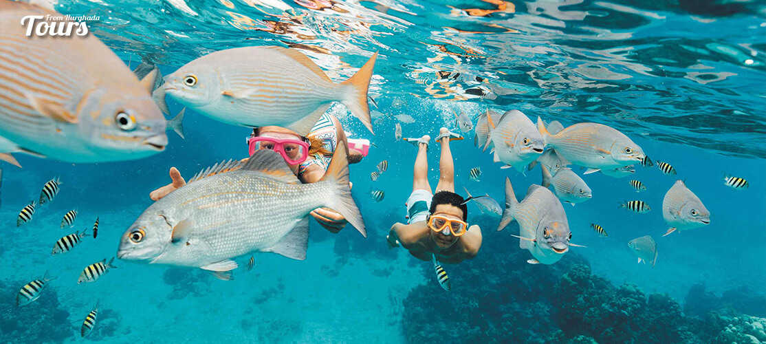 Snorkeling - 9 Days Marsa Alam Holiday with a Tour to Pyramids and Old Cairo - Tours From Hurghada