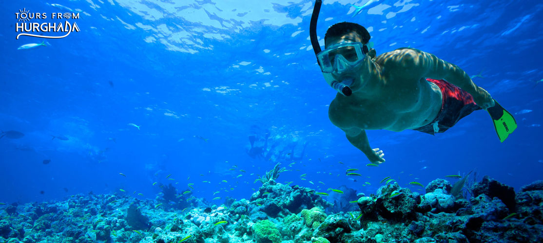 Private Snorleing Trip in Hurghada - Tours From Hurghada