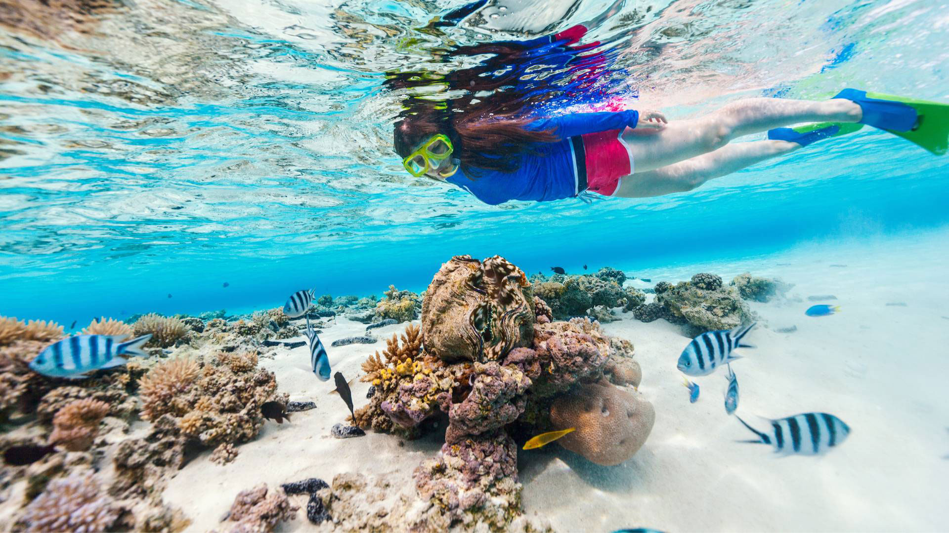 Private Snorkeling Excursion in Port Ghalib