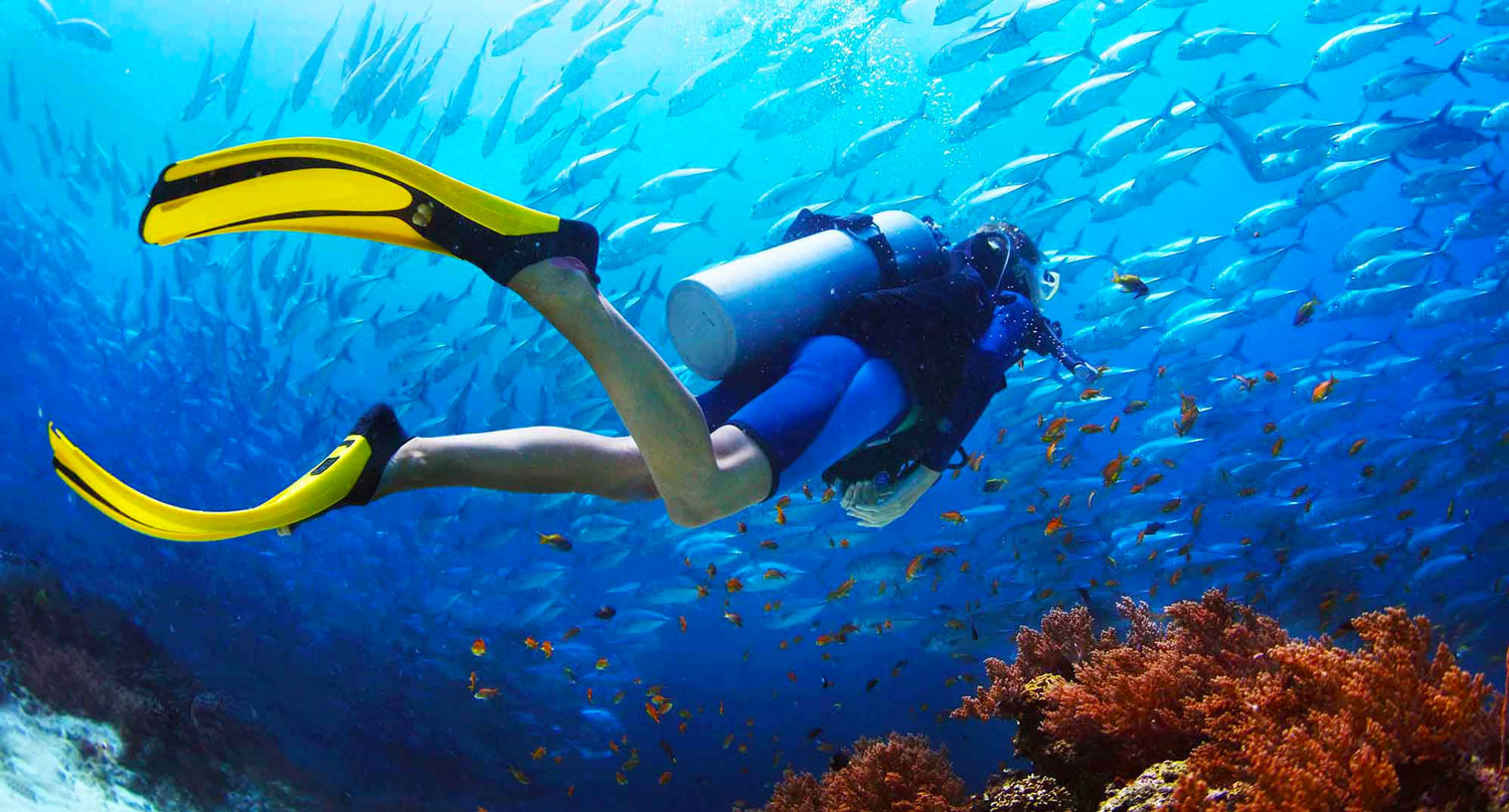 Diving Excursion form Soma Bay