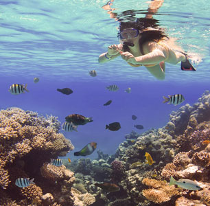 Snorkeling Tours from Hurghada - Tours from Hurghada