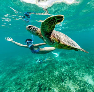 Snorkeling Tours from El Gouna - Tours from Hurghada