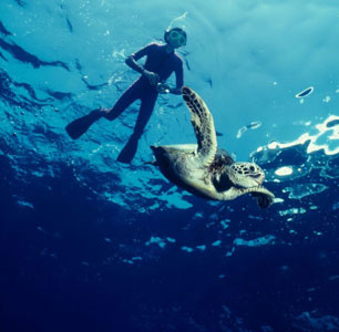 Snorkeling Tours from Port Ghalib - Tours from Hurghada